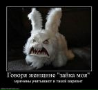 Андрей Давидович фотография #19 (источник - https://vk.com/id11913864)