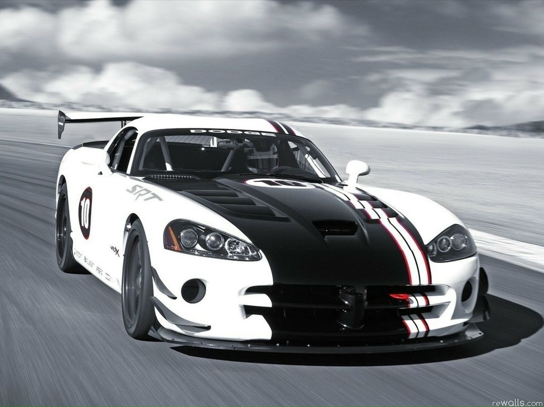 Дмитрий Тищенко фотография #31