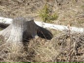 Иван Амельченко фотография #25 (источник - https://vk.com/id684343)