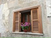 Фотография Сайко Евгении