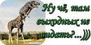 Фотография Фаттаховой Регины