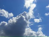 Фотография Коваленковой Евгении