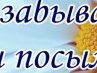Діма Іванов фотография #41 (источник - https://vk.com/id126577249)
