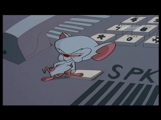 Пинки и Брейн (1 Сезон 6 Серия)