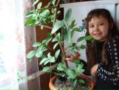 Ангелінка Марцинкевич фотография #50 (источник - https://vk.com/id105308380)