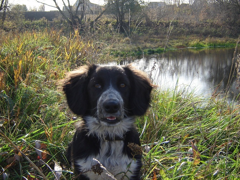 Игорь Донец фотография #43