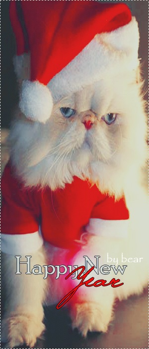 Сергей Лебедев фотография #8