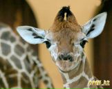 Фотография Глазковой Любови