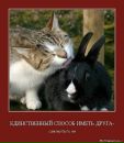 Саша Овдієнко фотография #26 (источник - https://vk.com/id34411726)
