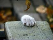 Фотография Новиковой Женечки