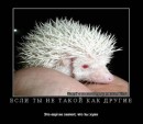Віка Кед фотография #16 (источник - https://vk.com/id37859749)