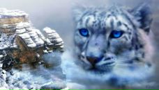 Фотография Левушкина Кости