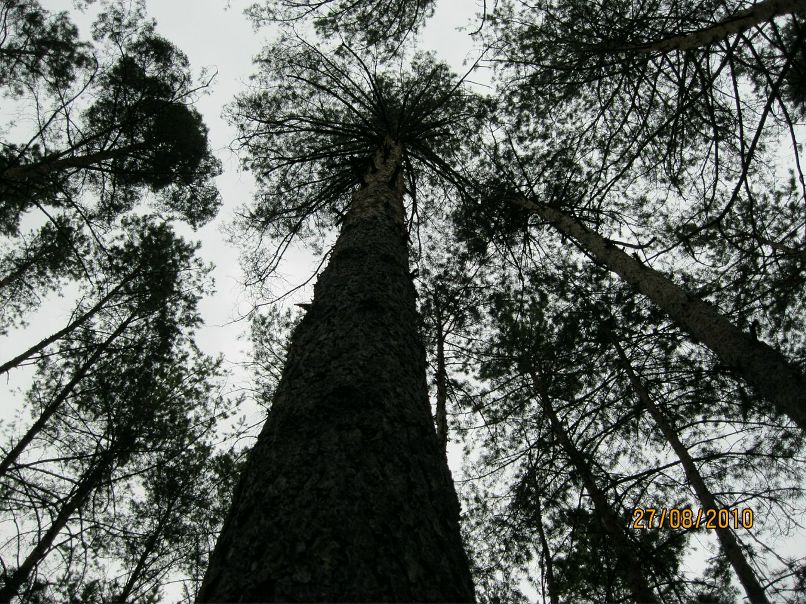 Илья Хатаб фотография #45