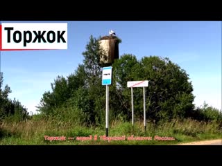 #ЯЛЮБЛЮТОРЖОК