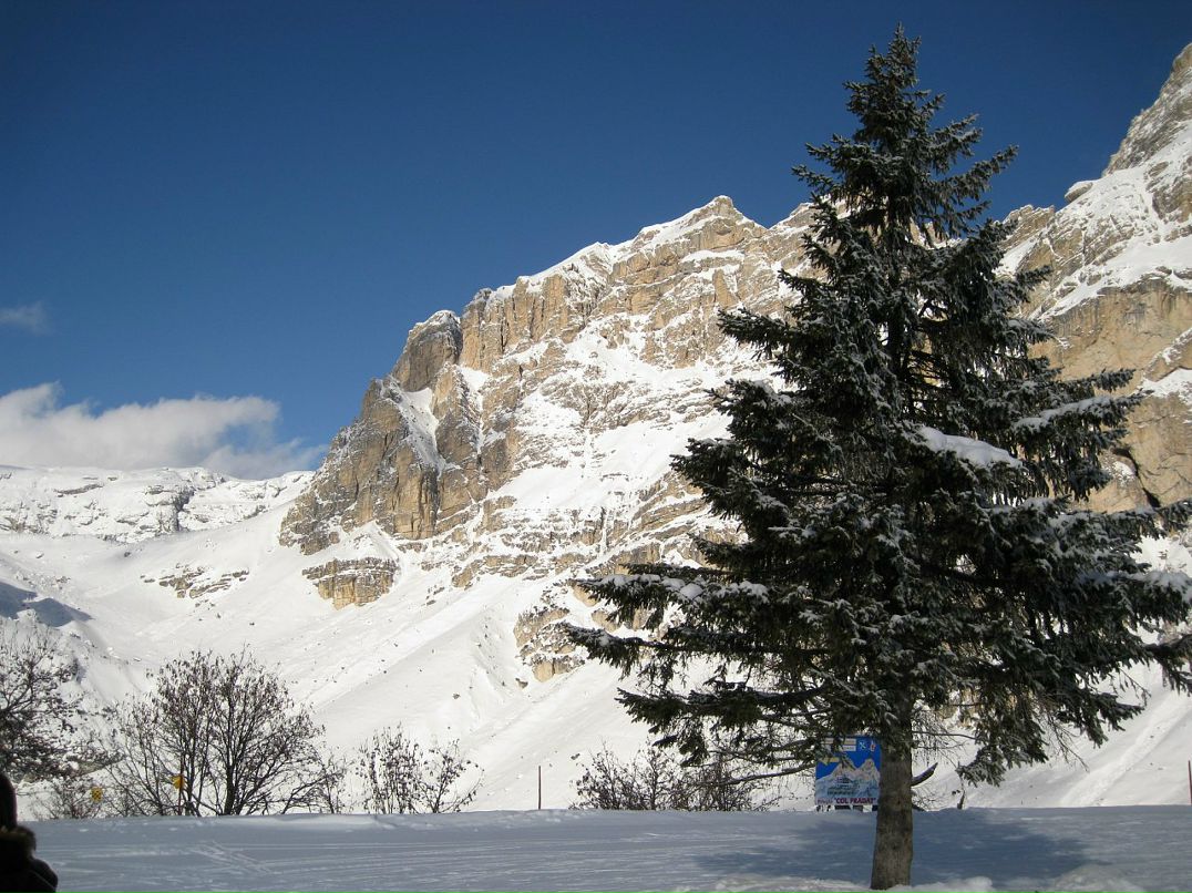 Григорий Поляков фотография #26