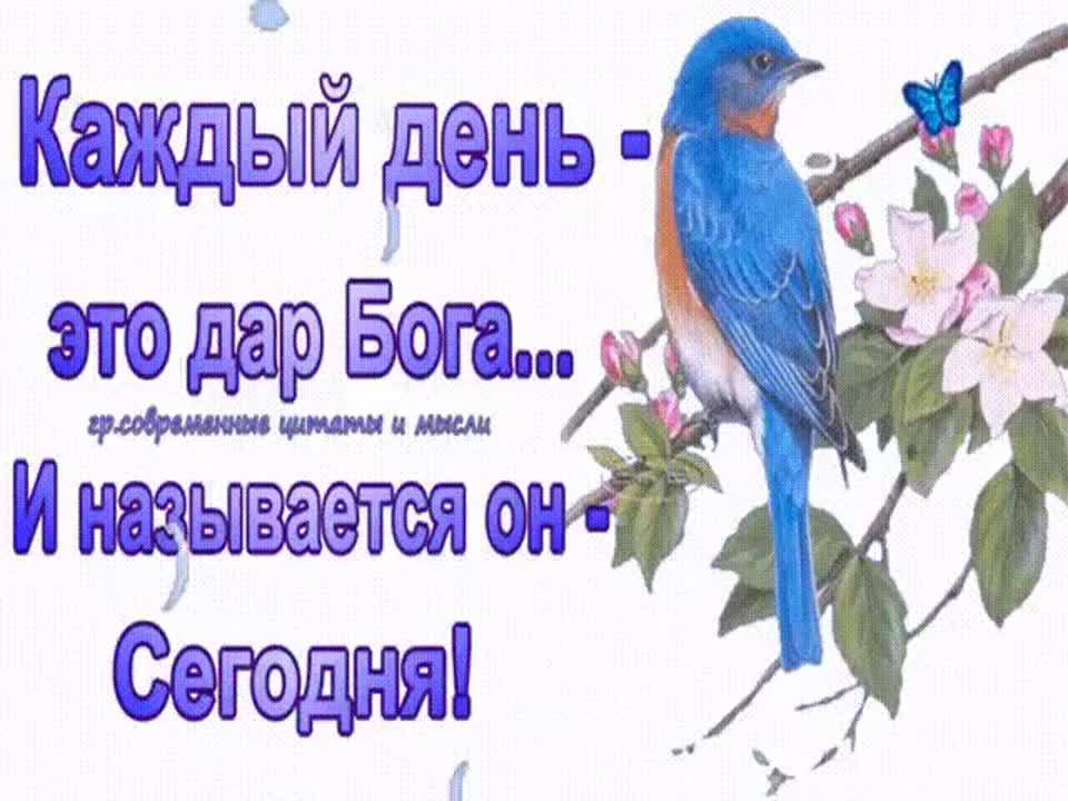Не Следует Путать Божий Дар