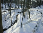 Янгол Кєдах фотография #49 (источник - https://vk.com/id85010421)