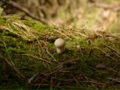 Александр Ширилов фотография #50 (источник - https://vk.com/id4350209)