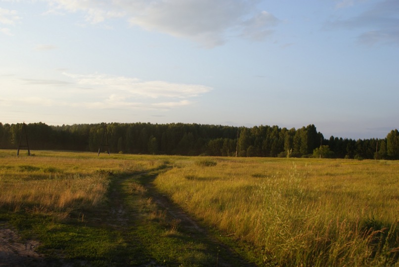 Алликс Плотников фотография #24