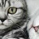 Зорянка Касіянчук фотография #14 (источник - https://vk.com/id18925498)