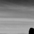 Дмитрий Щербаков фотография #34 (источник - https://vk.com/id39001049)