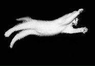 Фотография Городничевой Елены