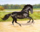 Оля Кіт фотография #47 (источник - https://vk.com/id161049647)