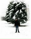 Фотография Богатырёва Павла