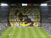 Фотография M Jalal