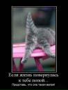 Фотография Родновой Людмилы