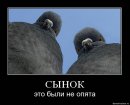 Виктор Скачков фотография #22 (источник - https://vk.com/id770273)