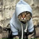 Фотография Тавадова Александра