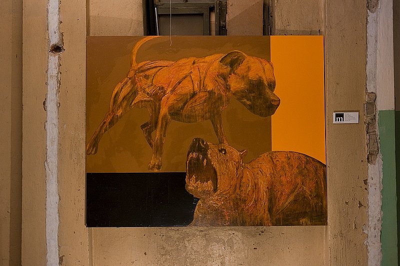 Лейли Асланова фотография #39