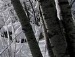 Лєна Бушко фотография #5 (источник - https://vk.com/id154668209)