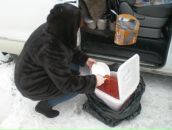 Фотография Леухиной Ани