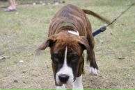 Кирилл Митяев фотография #18 (источник - https://vk.com/id6828811)