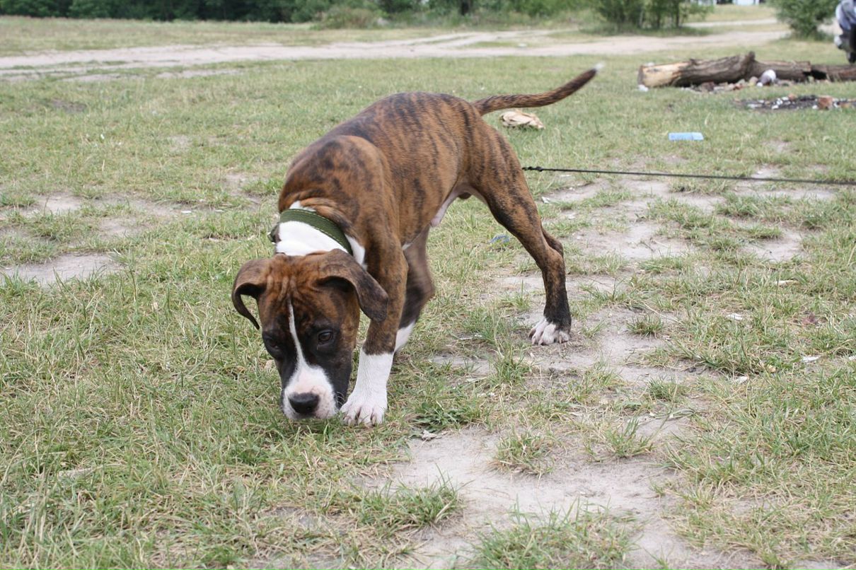 Кирилл Митяев фотография #19