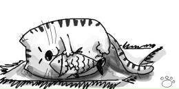 Фотография Самойловой Валентины