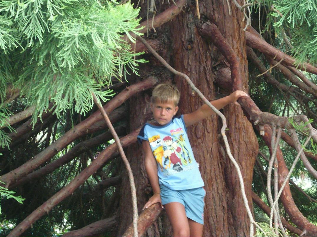 Олег Ткаченко фотография #29