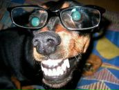 Фотография Вагеля Евгения