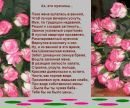 Фотография Дворянковой Елены