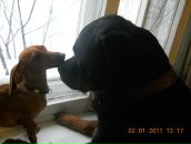 Фотография Скворцовой Натальи