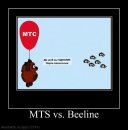 Роза Черных фотография #8 (источник - https://vk.com/id78838853)