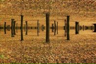 Фотография Маннаповой Екатерины