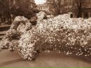Вітя Воронін фотография #34 (источник - https://vk.com/id81295431)
