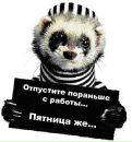 Коха. :) фотография #33 (источник - https://vk.com/id96415867)