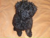 Фотография Кореневой Наталии