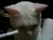 Фотография Лютого Грихи