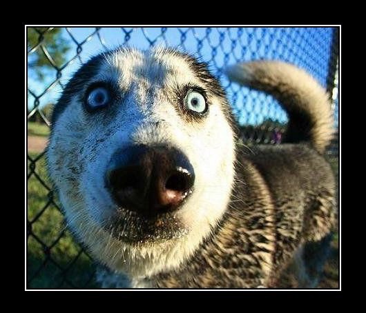 №5, Али Күжүгет, Кызыл, Россия №5, Али Күжүгет, Кызыл, Россия