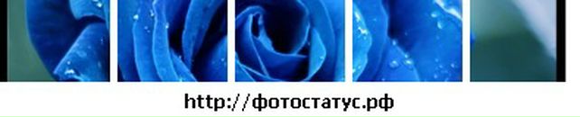 Олічка Музочка фотография #13 (источник - https://vk.com/id12939355)